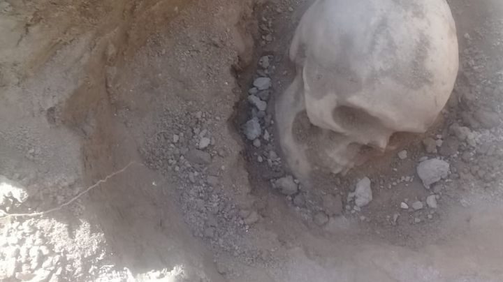 Un obrero encontró un cráneo cuando trabajaba en la obra de un hospital