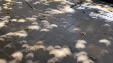 ¿Lo viste? las curiosas sombras en el suelo durante el eclipse
