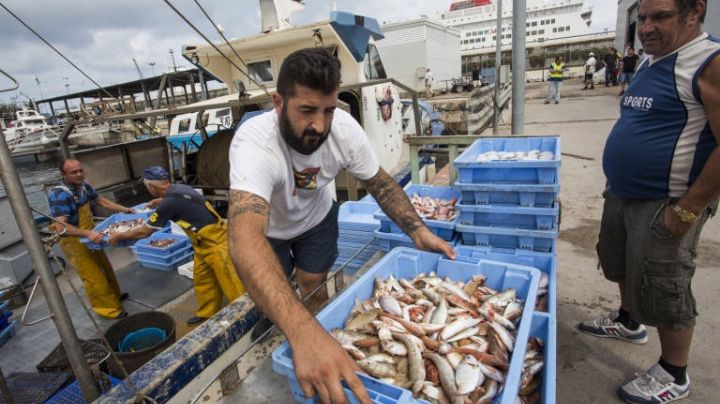 Increíble: venden pescado a $ 49 por kilo
