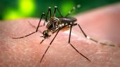 En Argentina hay 60.000 casos confirmados de dengue