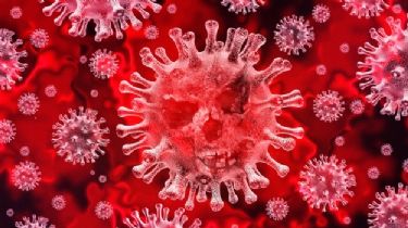 Coronavirus en invierno: ¿la vacuna de la gripe es la solución para los grupos de riesgo?