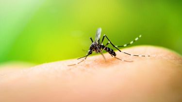 Alarma por una joven de Valle Fértil internada bajo sospecha de Dengue