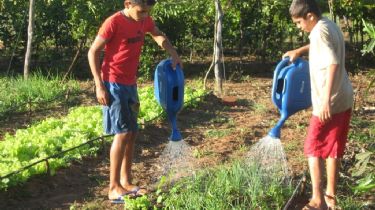 San Martín lanzó una iniciativa agroecológica para que la gente tenga un sustento económico
