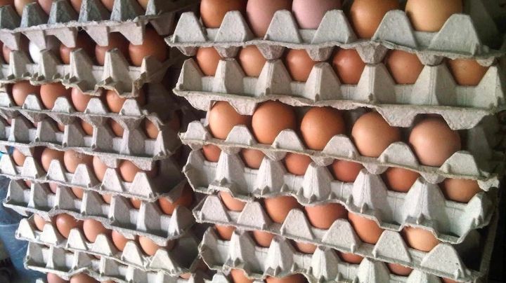 Los huevos por el cielo: en 45 días el aumento del precio fue  del 100%