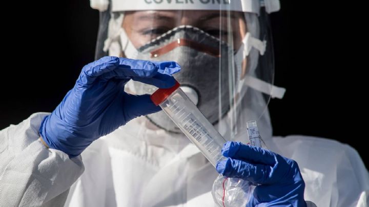 Alemania reveló buenos resultados en la cura contra el coronavirus