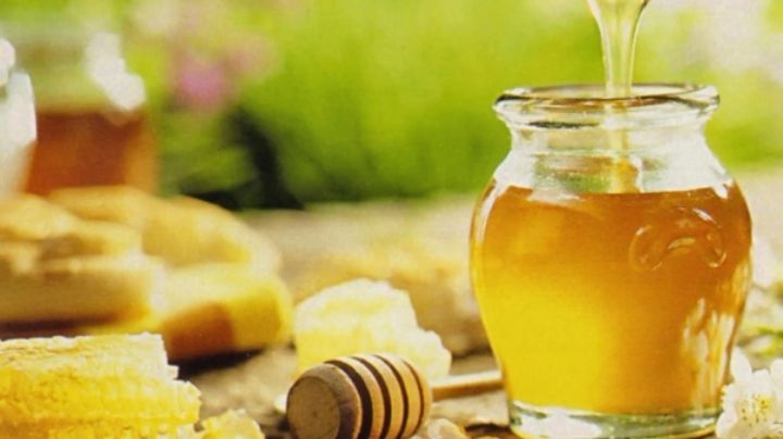 Conoce las bondades de la miel sanjuanina y su actualidad