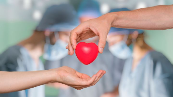 Mirá por qué el 30 de mayo se celebra el Día de la Donación de Órganos