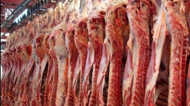 El Gobierno Nacional extendió las restricciones a la exportación de carne