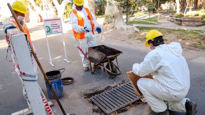 Chau baches: comenzó la recuperación del pavimento en Capital