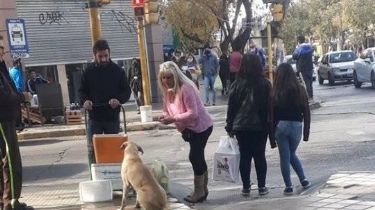 La historia una sanjuanina y un perrito callejero que se hizo viral