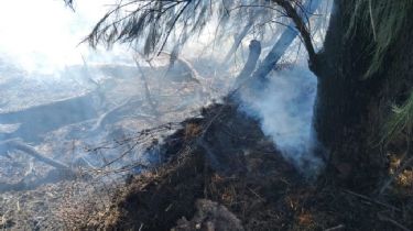 Desesperación: Se incendió un conocido boliche de Caucete