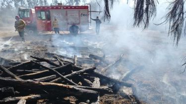 Desesperación: Se incendió un conocido boliche de Caucete
