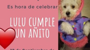 Indignación por una fiesta clandestina por el cumpleaños de un perro