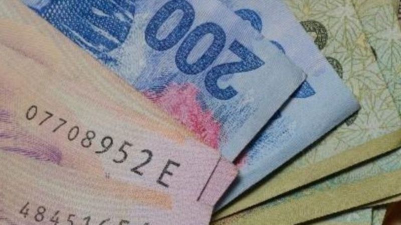 Anses:¿Cómo acceder a los 17 mil pesos del Programa Acompañar?