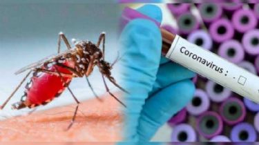 Detecta pacientes con coronavirus y dengue en simultáneo