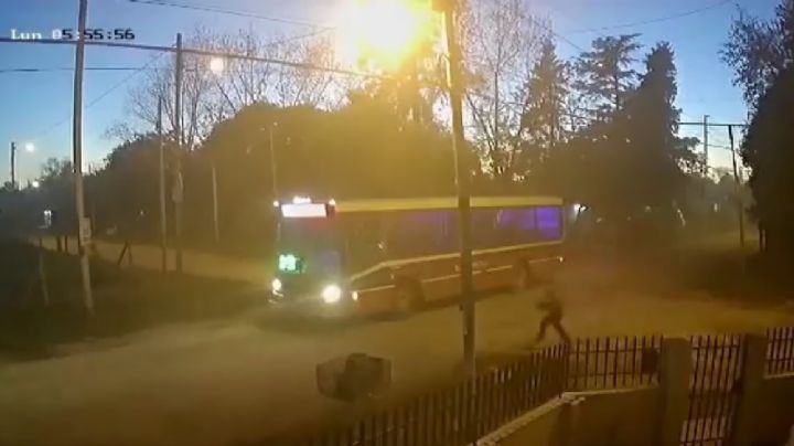 Video trágico: una mujer quiso tomarse el colectivo y murió atropellada