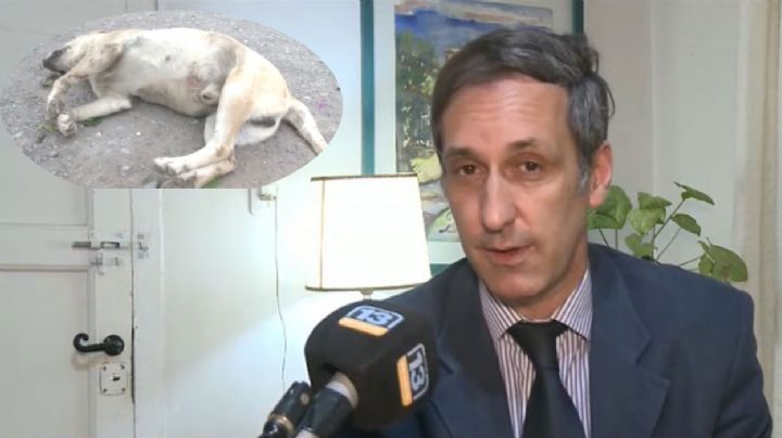 Inédito: el perro asesinado en Chimbas tiene su propio abogado