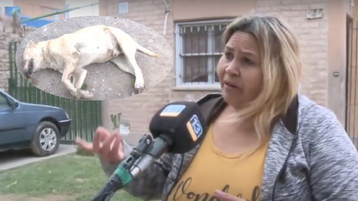 Pánico en Chimbas: un vecino mató de un escopetazo a su perro