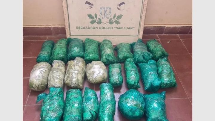 En Caucete: secuestraron 11 kilos de hojas de coca