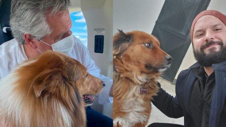 Saludo perruno: Dylan "felicitó" al primero perro presidencial de Chile