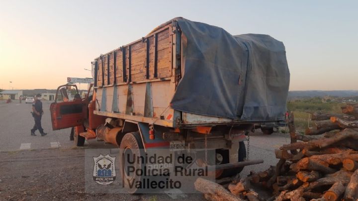 Tala ilegal en San Juan: atraparon a un camionero con 4 mil kilos de leña