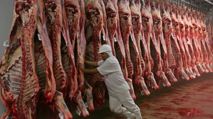 Anunciaron la apertura exportación de carne de vaca a mercados emergentes