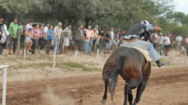 Carrera de caballos clandestina: detenidos, prófugos y un patrullero roto