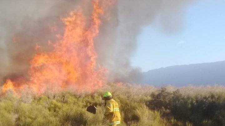 Más de 80 hectáreas se incendiaron en Carpintería