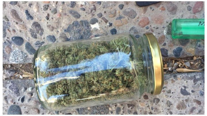 Lo buscaban por un arrebato y terminó preso porque le encontraron 28 plantas de marihuana