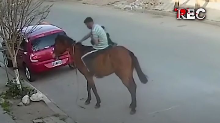 ¿Qué paso con el ladrón que huyó en un caballo lesionado en San Juan?