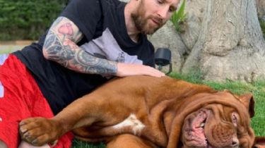 Messi y su familia están en París pero ¿qué pasó con el perro 'Hulk'?