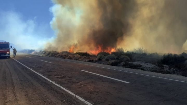 Tremendo incendio en Ruta 40 por el Viento Zonda: piden conducir con cautela