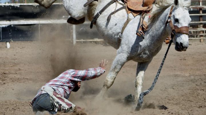 Impactante: murió un hombre tras ser pateado por un caballo