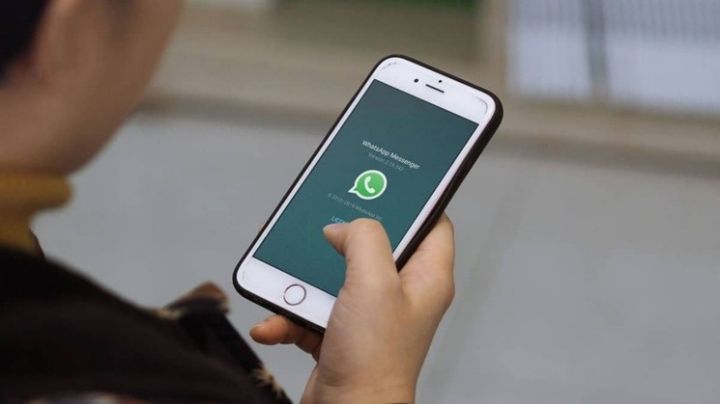 WhatsApp: el paso a paso para ponerle contraseña a los chats