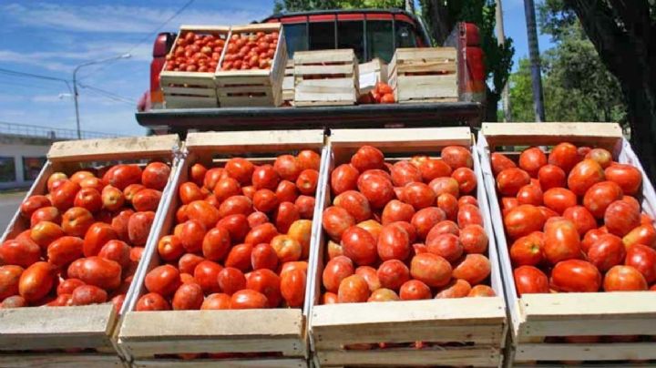 Tiene 13 años y lo atraparon robando 80 kilos de tomate en Pocito