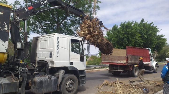 Retiraron 24 camionadas de mugre de una transitada zona de Concepción