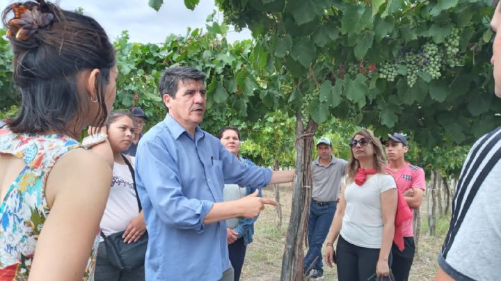 Día del Vino Argentino: el INV alertó sobre la crisis hídrica, ¿cuáles son los desafíos del sector?