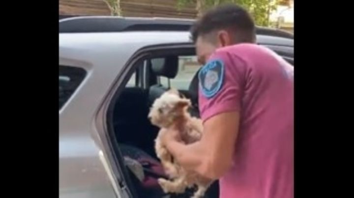 Policia al rescate: ayudaron a un perro encerrado en un auto con 38° de calor