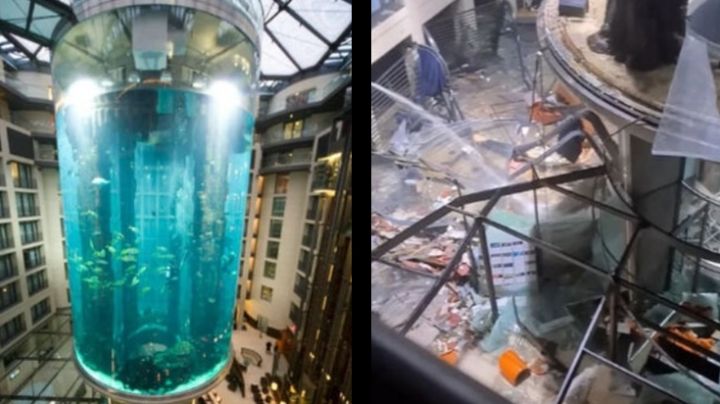 Video: estalló el acuario cilíndrico más grande del mundo