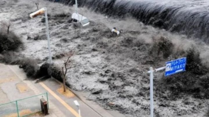 Alerta: un terremoto de más de 7 grados azotó a Japón