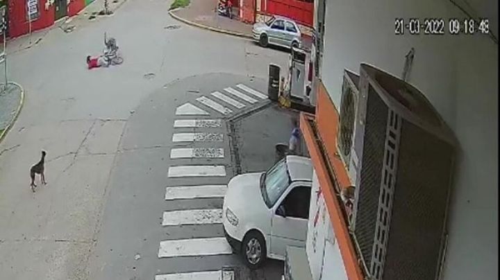 Insólito video: un ñandú atropelló a una mujer en bicicleta