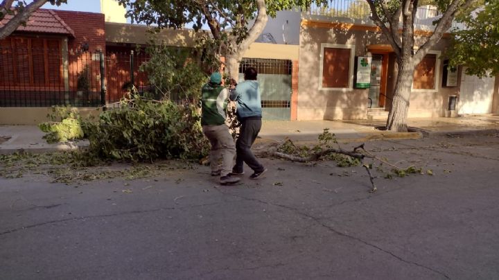 El centro sanjuanino amaneció despoblado por el feriado, pero con ramas en las calles