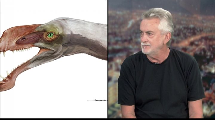 Entrevista exclusiva: San Juan, la cuna de los primeros pterosaurios del hemisferio sur