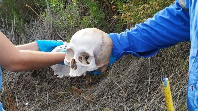 Terrorífico hallazgo en Ullum: un grupo de turistas encontró un cráneo