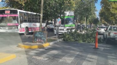 Colectivo fuera de control causó un desastre en plena avenida Libertador