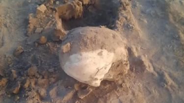 Vinculan un cráneo encontrado en el dique de Ullum a la desaparición de Tellechea