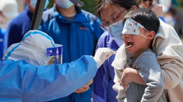 China: detectaron el primer caso de gripe aviar H3N8 en un ser humano