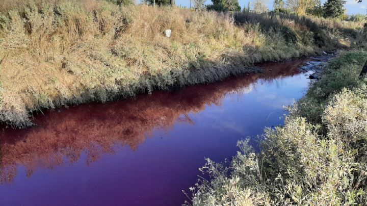 Un río se llenó de 'sangre' en Sarmiento y generó terror entre los vecinos