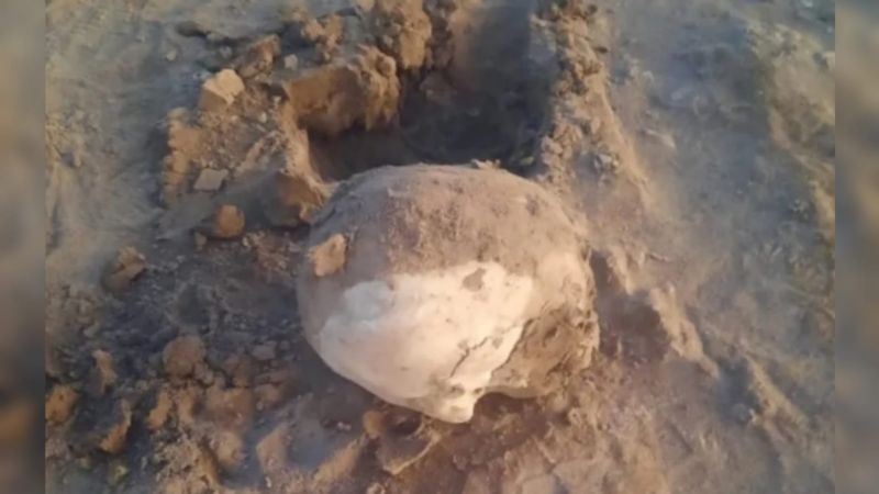 ¿Un paso más cerca de Tellechea?: hubo un importante descubrimiento en el cráneo