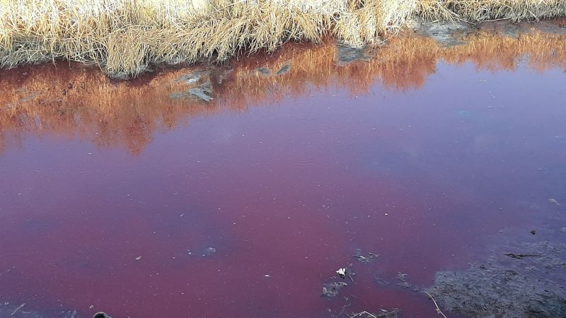 ¿Se devela el misterio del agua roja en Sarmiento?
